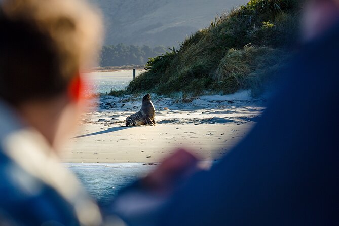 Otago Harbour Wildlife Cruise (Dunedin Shore Excursion) - Booking, cancellation, and practical details