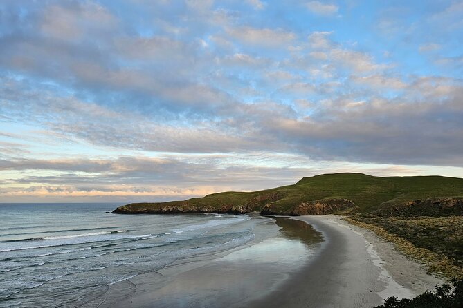 Otago Peninsula In-Depth Tour & Blue Penguins Pukekura Experience - Taiaroa Head and Pukekura add cultural weight