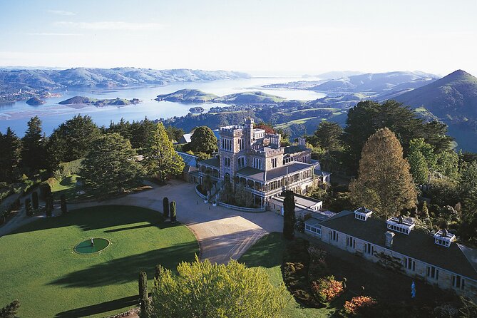 Otago Peninsula & Larnach Castle Shore Excursion - Baldwin Street: a 20-minute test for your calves