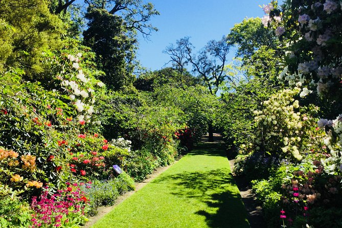 Otago Peninsula Scenery and Dunedin City Highlights Tour - What the $148.94 price really buys you