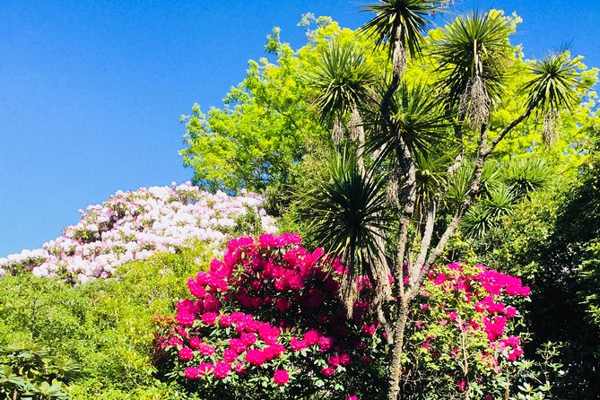 Otago Peninsula Scenery and Dunedin City Highlights Tour - Who will enjoy this tour most