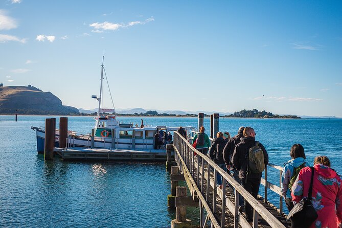 Otago Peninsula Wildlife Cruise with Monarch - Why Taiaroa Head makes this cruise special