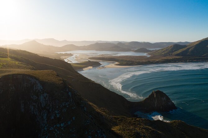 Otago Peninsula Wildlife Cruise with Monarch - Commentary that adds meaning without taking over