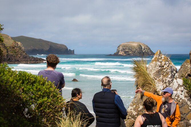 Otago Peninsula Wildlife Tour & Cruise - The scenic drive across Otago Peninsula