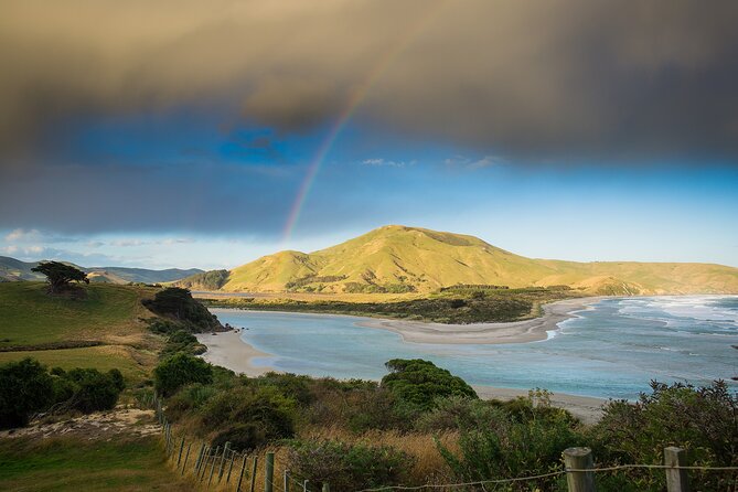 Otago Peninsula Wildlife Tour & Cruise - Inside the yellow-eyed penguin conservation reserve