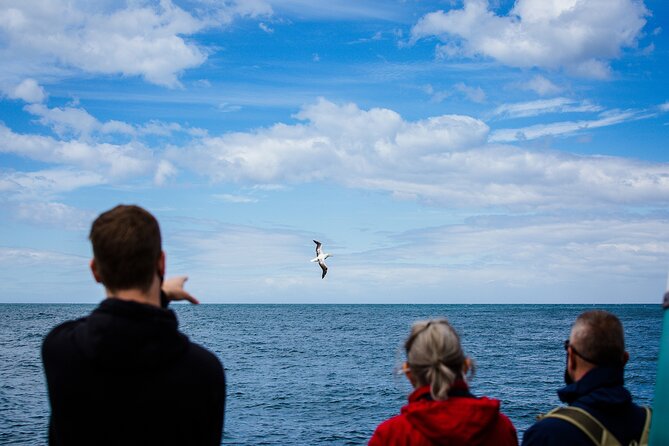 Otago Peninsula Wildlife Tour & Cruise - What the $142.73 price includes