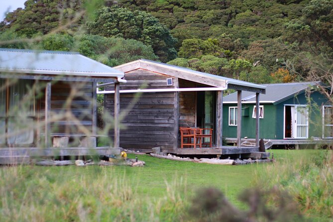 Overnight Experience Tour on Kapiti Island - Your first day: lunch, local stories, and forest walks