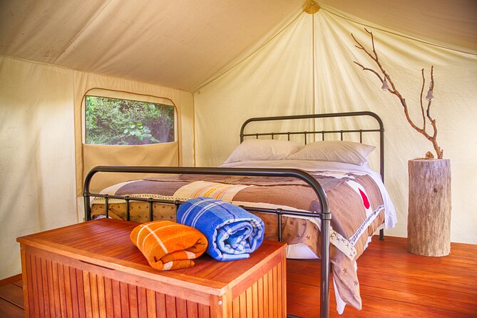 Overnight Experience Tour on Kapiti Island - What the $415.16 price includes