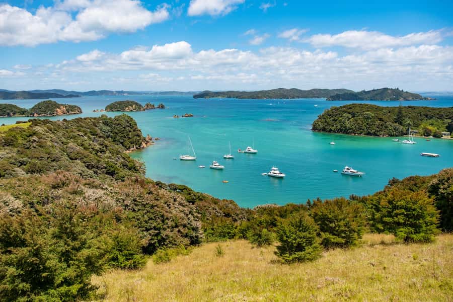 Paihia: Bay of Islands Dolphin Eco Cruise & Island Stopover - Arriving at Otehei Bay on Urupukapuka Island