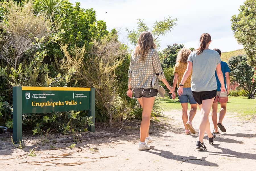 Paihia: Bay of Islands Dolphin Eco Cruise & Island Stopover - Practical booking advice from Paihia