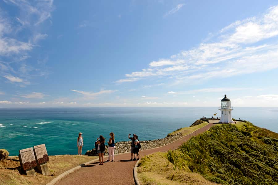 Paihia: Cape Reinga and Ninety Mile Beach Trip with Lunch - The road from Paihia is part of the experience