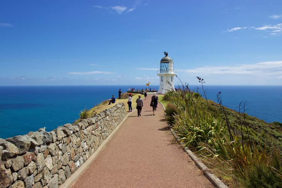Paihia: Cape Reinga and Ninety Mile Beach Trip with Lunch - Sandboarding on the dunes