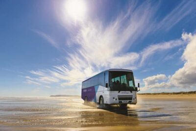 Cape Reinga and Ninety Mile Beach Trip with Lunch