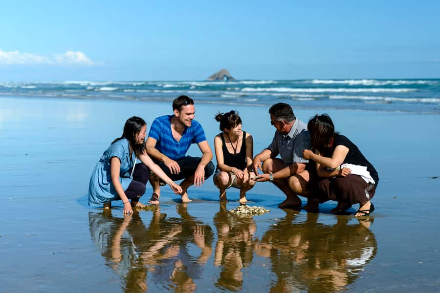Paihia: Cape Reinga and Ninety Mile Beach Trip with Lunch - Should you book it?