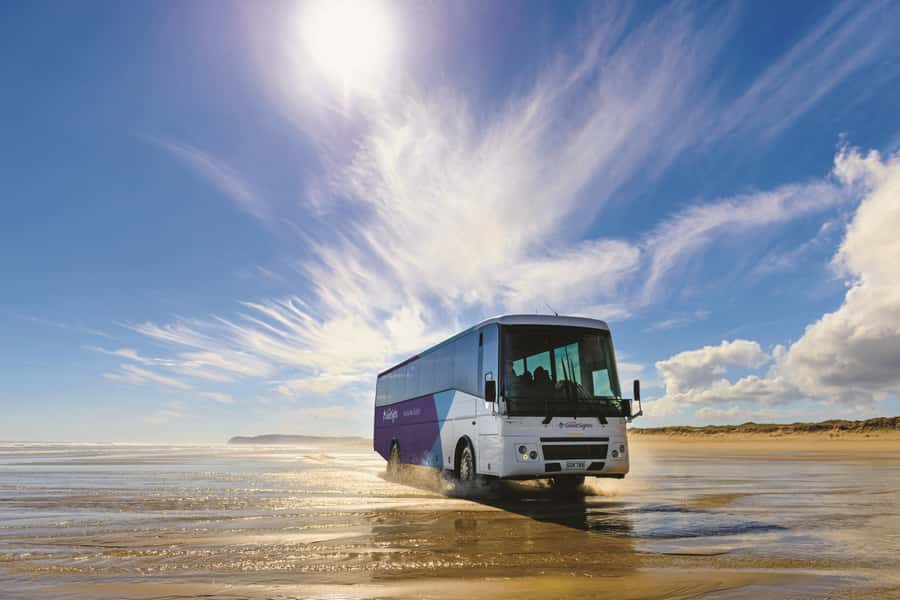 Paihia: Cape Reinga and Ninety Mile Beach Trip with Lunch - Riding Ninety Mile Beach by coach