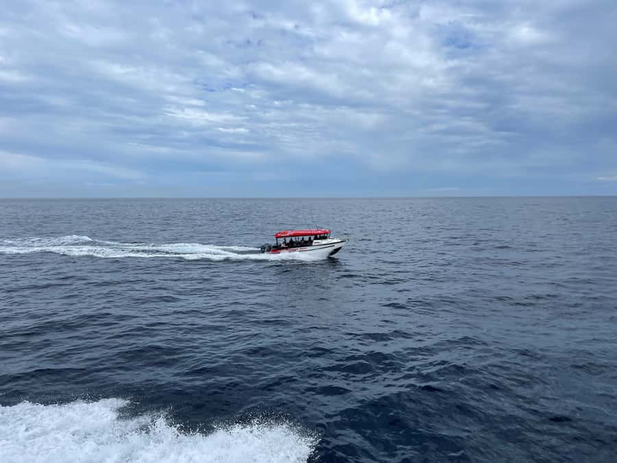 Paihia: Glass Bottom Boat Tour to the Hole in the Rock - What the ride feels like for families