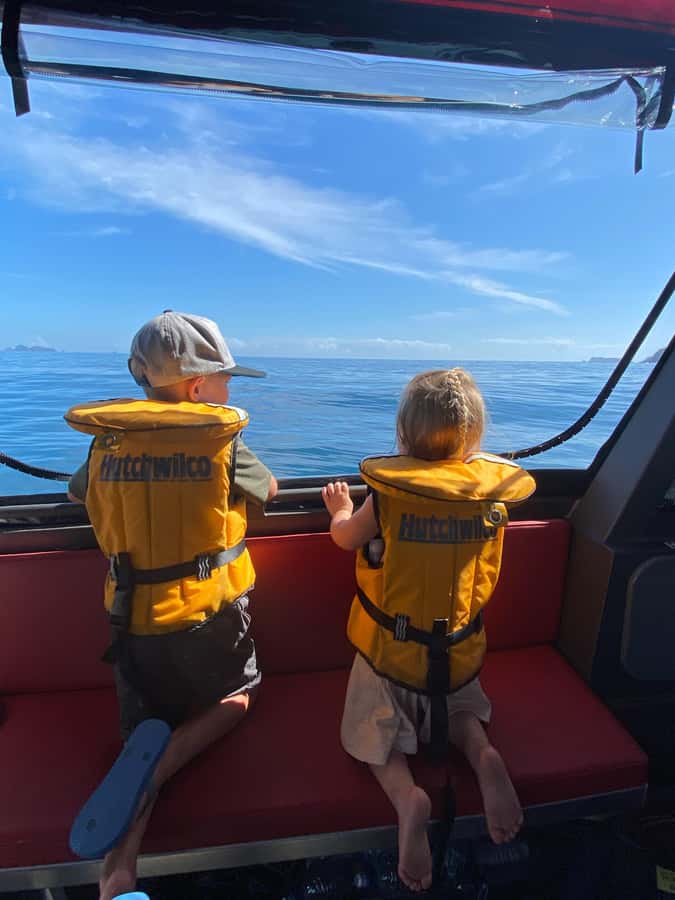 Paihia: Glass Bottom Boat Tour to the Hole in the Rock - Is $74 good value?