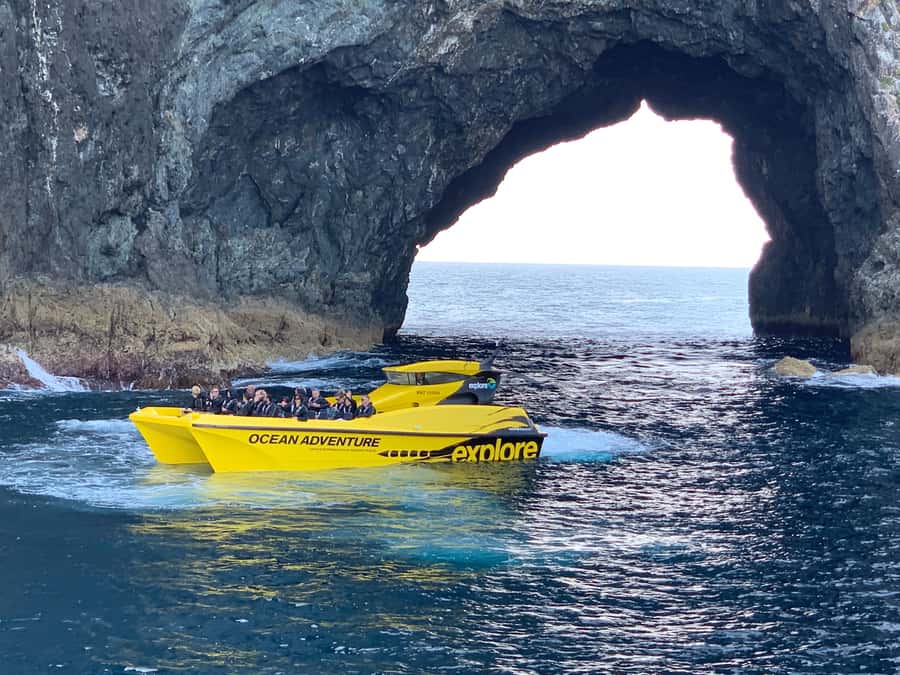 Paihia: Hole in the Rock Fast Boat Ocean Adventure - Racing through the Bay of Islands