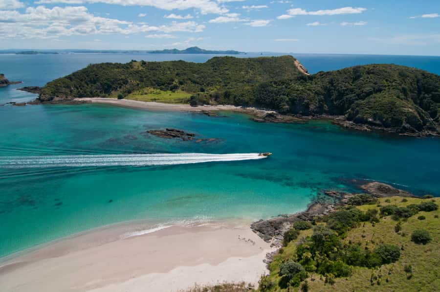 Paihia: Hole in the Rock Fast Boat Ocean Adventure - Cape Brett Peninsula and Lighthouse