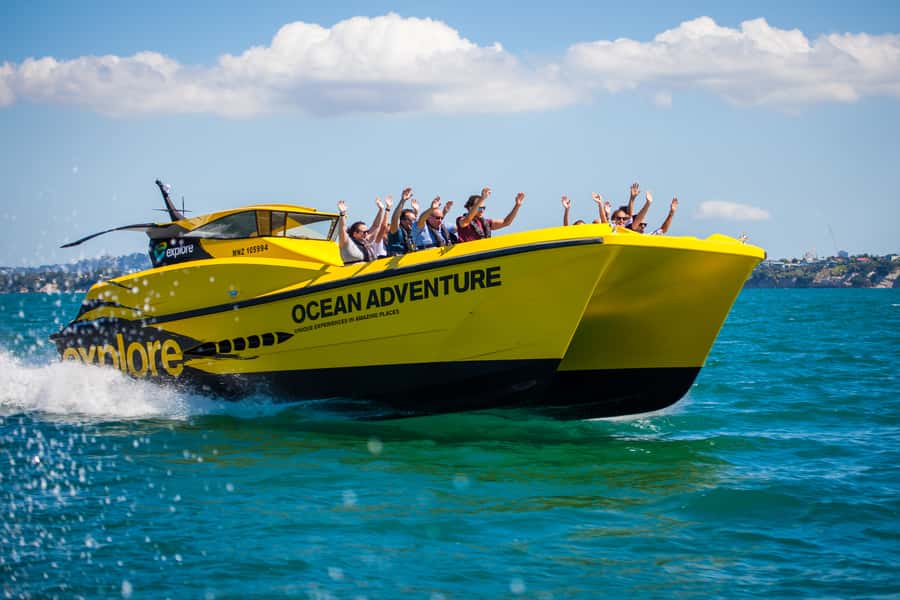 Paihia: Hole in the Rock Fast Boat Ocean Adventure - Wildlife watching without making promises