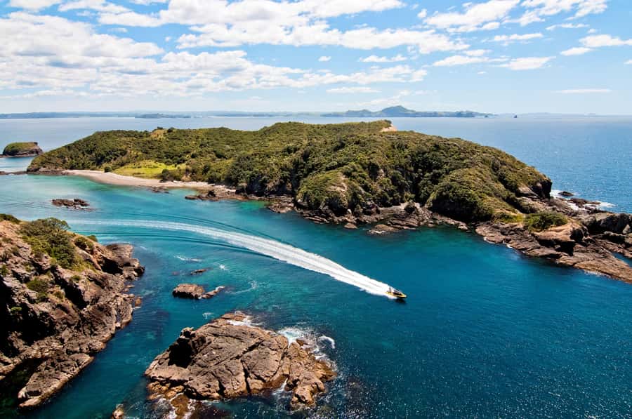 Paihia: Hole in the Rock Fast Boat with Island Stopover - Who should book this fast boat trip