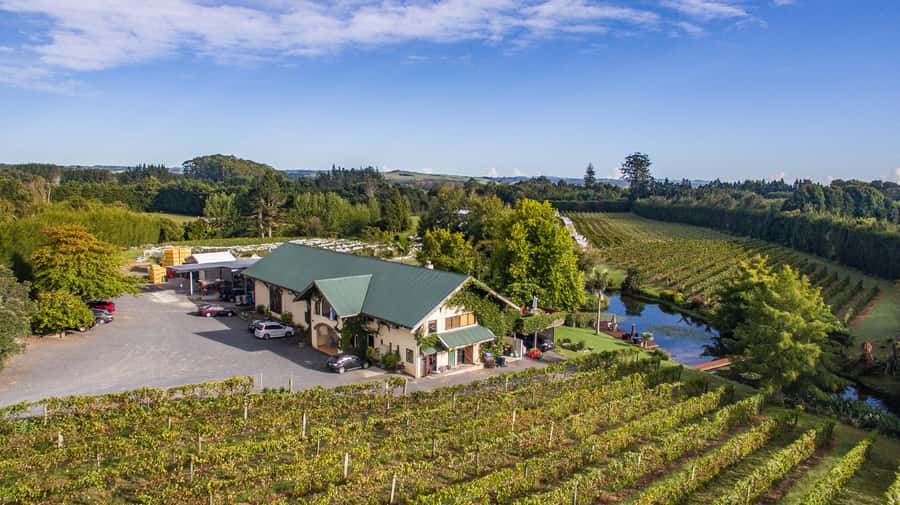 Paihia or Kerikeri: Wine, Spirit, & Craft Beer Tour - Key points at a glance