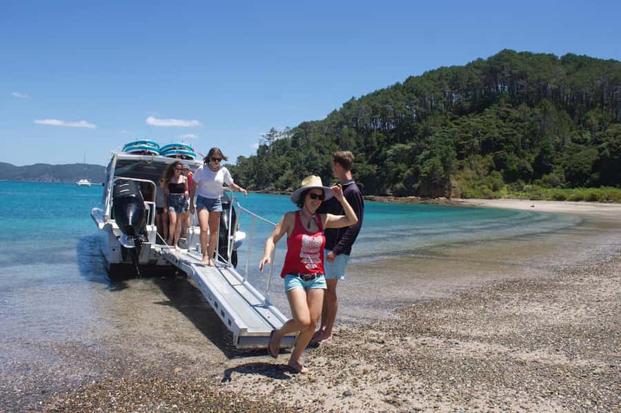 Paihia/Russell: Hole in the Rock Cruise with 2 Island Stops - Should you book the Hole in the Rock cruise?