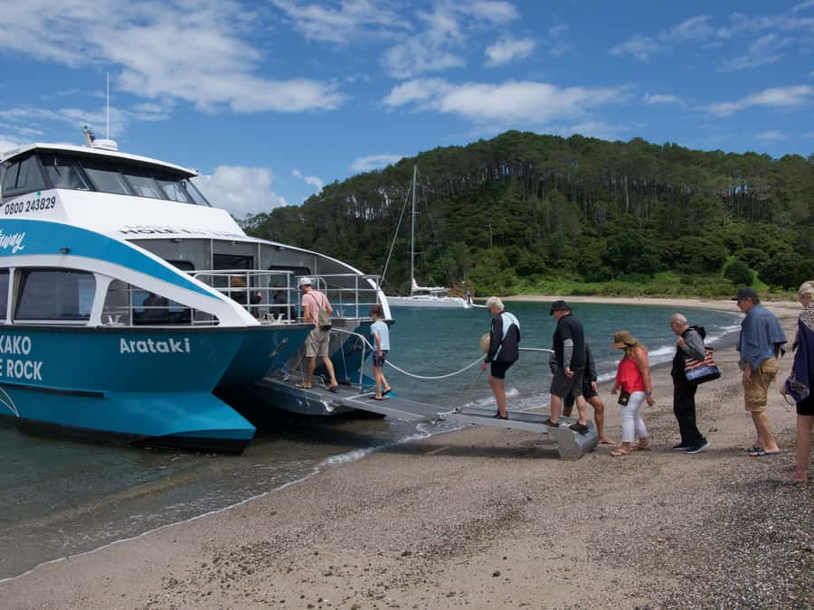 Paihia/Russell: Hole in the Rock Cruise with 2 Island Stops - Motuarohia Island and the Twin Lagoons lookout