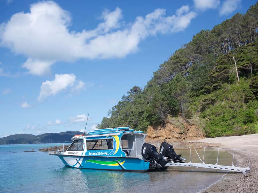 Paihia/Russell: Hole in the Rock Cruise with 2 Island Stops - Cape Brett Peninsula and the lighthouse