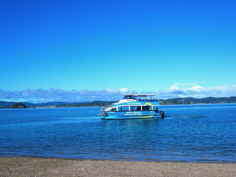 Paihia/Russell: Hole in the Rock Cruise with 2 Island Stops - The return cruise and the value of $90