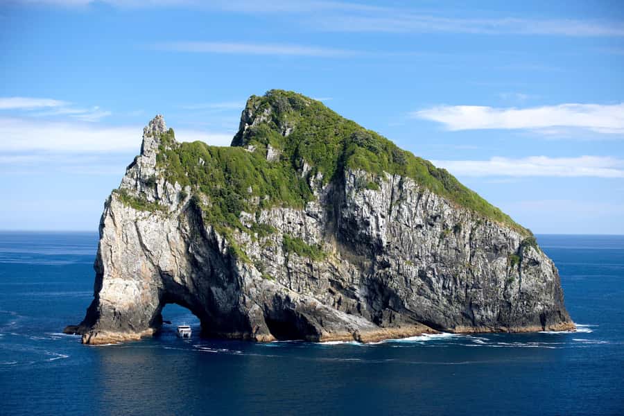 Paihia/Russell: Hole in the Rock, Dolphins & Island Cruise - Key points to know before you go