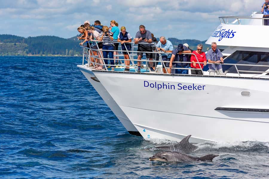 Paihia/Russell: Hole in the Rock, Dolphins & Island Cruise - Four and a half hours across the Bay of Islands