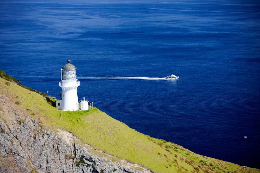 Paihia/Russell: Hole in the Rock, Dolphins & Island Cruise - What the $95 fare includes