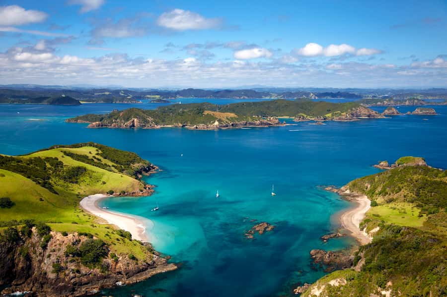 Paihia/Russell: Hole in the Rock, Dolphins & Island Cruise - What can go wrong, and how to plan around it