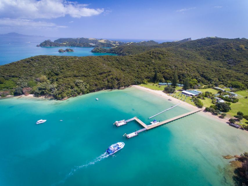 Paihia/Russell: Hole in the Rock, Dolphins & Island Cruise - Who will enjoy this cruise most