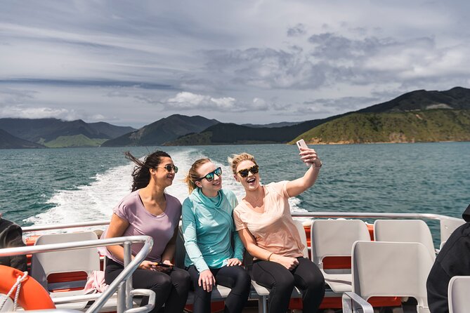 Pelorus Mail Boat Sunday Scenic Cruise – Full-Day from Havelock - Hopai Bay Farm and the Sounds Garden