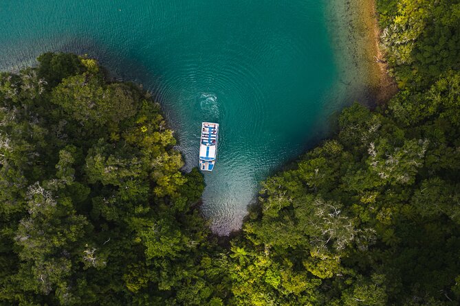 Pelorus Mail Boat Sunday Scenic Cruise – Full-Day from Havelock - Commentary about life away from the main road