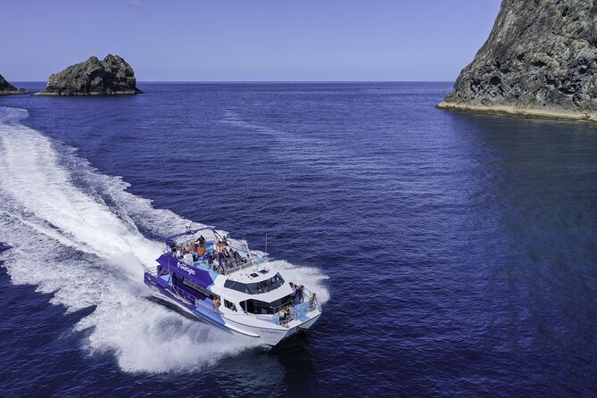 Phantom Sailing Bay of Islands - Homemade lunch on the Phantom