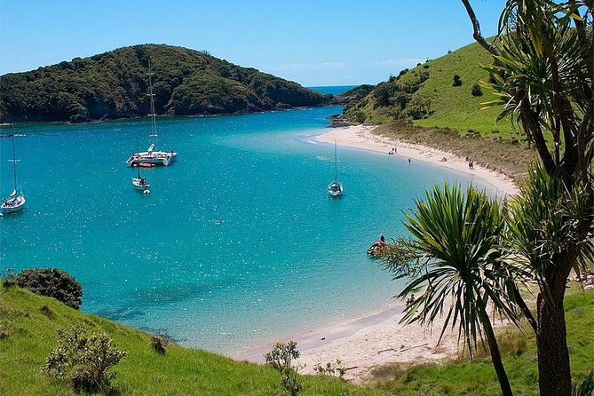 Phantom Sailing Bay of Islands - Is $121.01 good value?