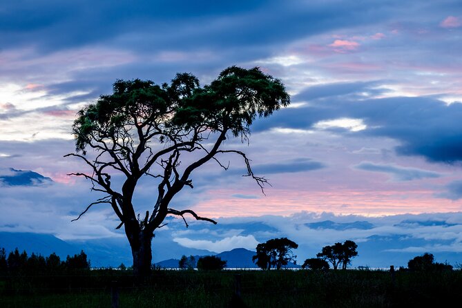 Photography Tour from Queenstown to Glenorchy - 1/2 Day - What is included, and what you need to bring