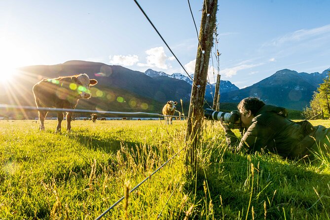 Photography Tour from Queenstown to Glenorchy - 1/2 Day - Who should book this tour?