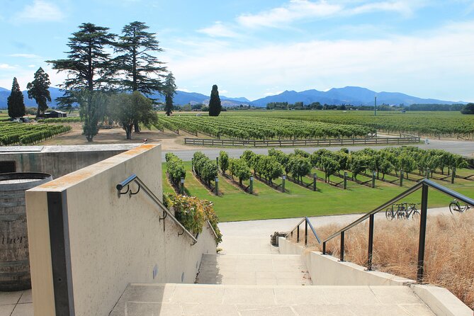 Picton & Blenheim Scenic Tour - What the private format really means