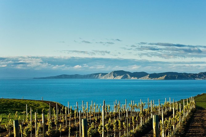 Picton Cruise Ship Shore Excursion Marlborough Wine Tour - From Picton harbor to Marlborough vineyards