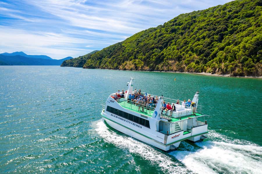 Picton Shore Excursion: Queen Charlotte Sounds Cruise - Why Queen Charlotte Sound works so well for a short visit