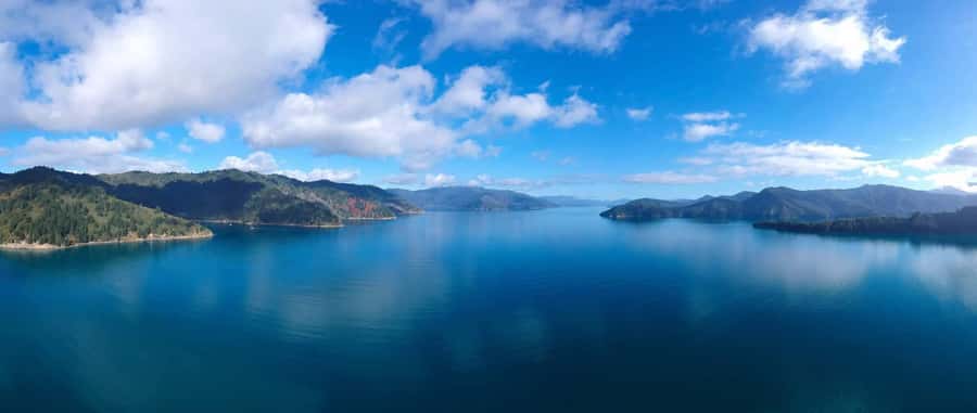 Picton Shore Excursion: Queen Charlotte Sounds Cruise - Sheltered bays, forested hills, and local stories