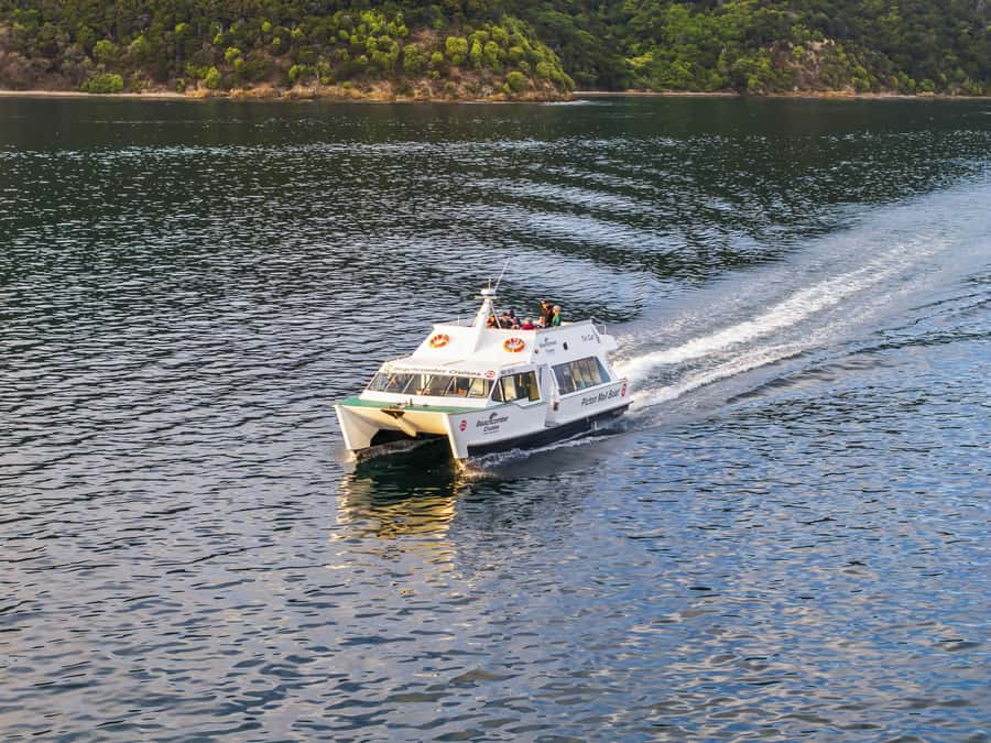 Picton Shore Excursion: Queen Charlotte Sounds Cruise - Starting at Picton’s waterfront