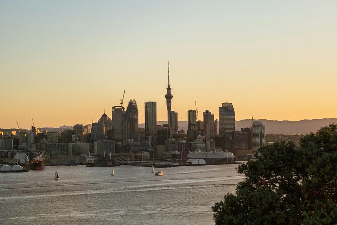 Piha Beach & Wilderness Nature : PRIVATE TOUR 8 hrs - Mount Eden: the best city view on the route
