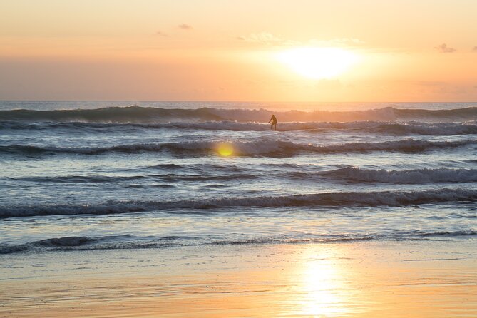 Piha Beach & Wilderness Nature : PRIVATE TOUR 8 hrs - What a private tour changes