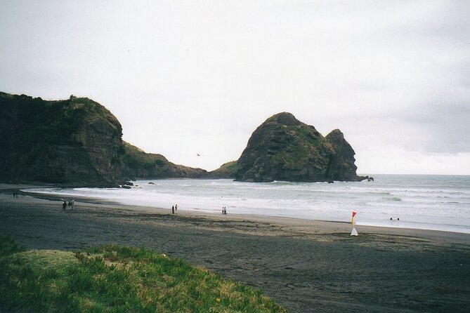 Piha Beach & Wilderness Nature : PRIVATE TOUR 8 hrs - Is $198.58 per person fair value?