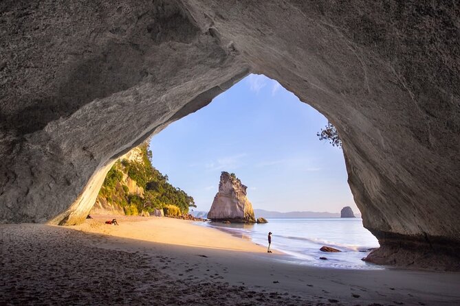 Piha Beach & Wilderness Nature : PRIVATE TOUR 8 hrs - Timing, pickup, and the small details that matter